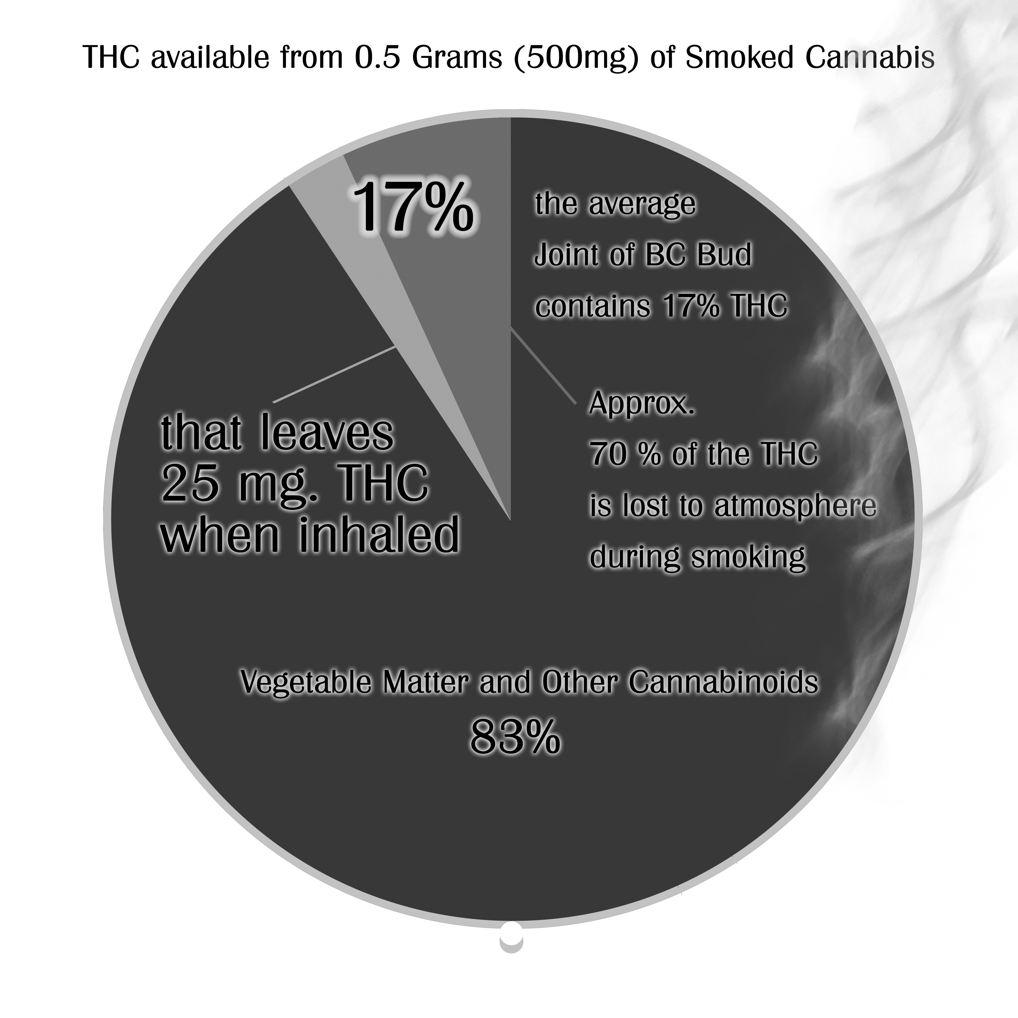 Article With Pie Chart