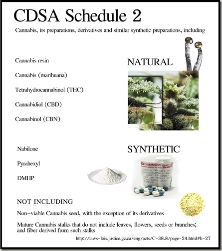 CDSA Schedule color